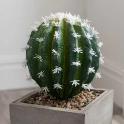 Dunelm Cactus In Wood Planter -clocks Sales Store 1000129814 alt02
