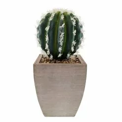 Dunelm Cactus In Wood Planter -clocks Sales Store 1000129814 alt03