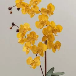 Dunelm Artificial Orchid Ochre In Grey Pot 56cm 5 Dunelm Artificial Orchid Ochre In Grey Pot 56cm -clocks Sales Store 1000149285 alt02