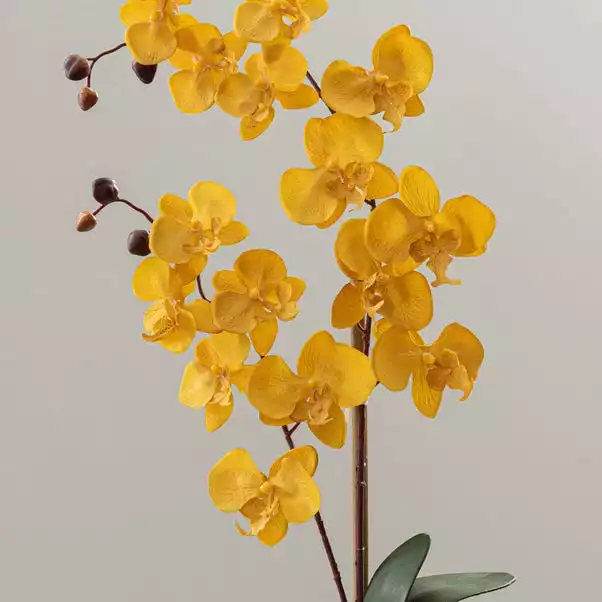 Dunelm Artificial Orchid Ochre In Grey Pot 56cm 3 Dunelm Artificial Orchid Ochre In Grey Pot 56cm - Image 3