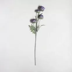 Dunelm Artificial Cardoon Thistle Purple Single Spray 78cm -clocks Sales Store 1000158291 alt01