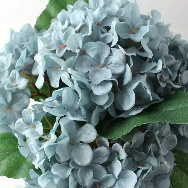 Dunelm Artificial Hydrangeas Teal In Ceramic Pot 28cm 2 Dunelm Artificial Hydrangeas Teal In Ceramic Pot 28cm - Image 2