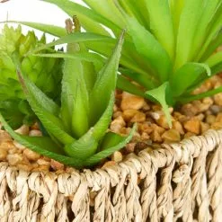 Dunelm Artificial Succulent Garden Multi In Woven Pot -clocks Sales Store 1000167609 alt02