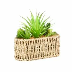 Dunelm Artificial Succulent Garden Multi In Woven Pot -clocks Sales Store 1000167609 alt03