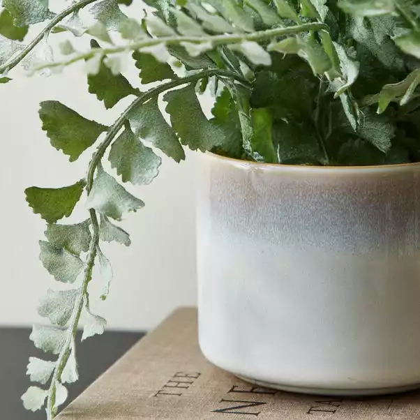 Dunelm Artificial Frosted Fern In Reactive Ceramic Pot 30cm 2 Dunelm Artificial Frosted Fern In Reactive Ceramic Pot 30cm - Image 2