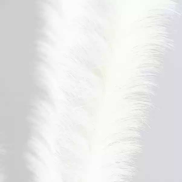 Dunelm Artificial Pampas Bundle White 90cm 3 Dunelm Artificial Pampas Bundle White 90cm - Image 3