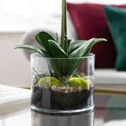 Dunelm Dorma Artificial Orchid In Vase 57cm -clocks Sales Store 1000183201 alt02