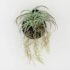 Dunelm Hanging Grass In Black Basket -clocks Sales Store 1000183204 alt02