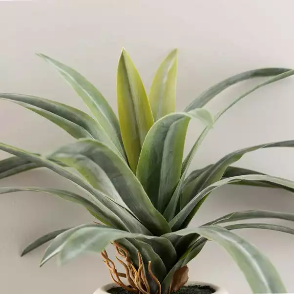 Dunelm Artificial Dracaena Plant In Pot 2 Dunelm Artificial Dracaena Plant In Pot - Image 2