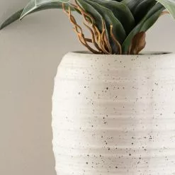 Dunelm Artificial Dracaena Plant In Pot 6 Dunelm Artificial Dracaena Plant In Pot -clocks Sales Store 1000183214 alt02