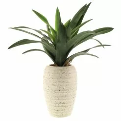 Dunelm Artificial Dracaena Plant In Pot 7 Dunelm Artificial Dracaena Plant In Pot -clocks Sales Store 1000183214 alt03