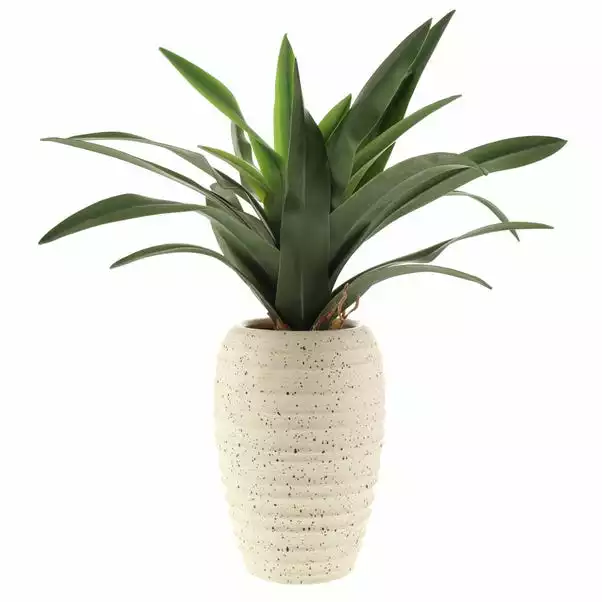 Dunelm Artificial Dracaena Plant In Pot 4 Dunelm Artificial Dracaena Plant In Pot - Image 4