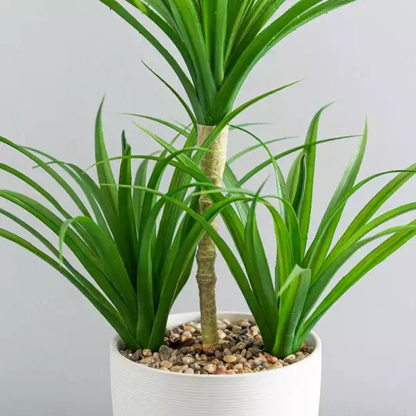 Dunelm Artificial Yucca Plant In Ceramic Pot 2 Dunelm Artificial Yucca Plant In Ceramic Pot - Image 2