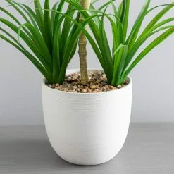 Dunelm Artificial Yucca Plant In Ceramic Pot 7 Dunelm Artificial Yucca Plant In Ceramic Pot -clocks Sales Store 1000183215 alt02