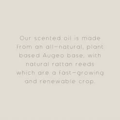 The Edited Life Wellness 200ml Oil Mint Reed Diffuser -clocks Sales Store 1000183229 alt09