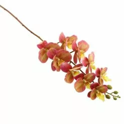 Dunelm Peach Real Touch Phalaenopsis 3 Pack 5 Dunelm Peach Real Touch Phalaenopsis 3 Pack -clocks Sales Store 1000184161 alt02