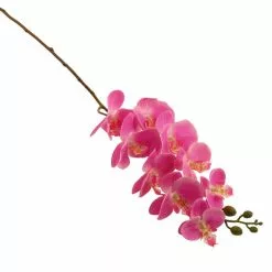 Dunelm Fuchsia Real Touch Phalaenopsis 3 Pack 5 Dunelm Fuchsia Real Touch Phalaenopsis 3 Pack -clocks Sales Store 1000184164 alt02