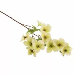 Dunelm Cream Real Touch Hellebore 3 Pack -clocks Sales Store 1000184171 alt02