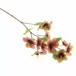 Dunelm Purple Real Touch Hellebore 3 Pack -clocks Sales Store 1000184173 alt02