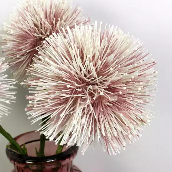 Dunelm Pink Hakea Spray 3 Pack 2 Dunelm Pink Hakea Spray 3 Pack - Image 2