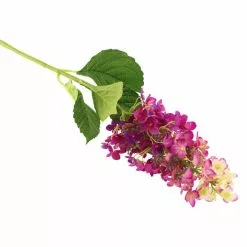 Dunelm Pink Mountain Hydrangea Stem 3 Pack -clocks Sales Store 1000184180 alt02