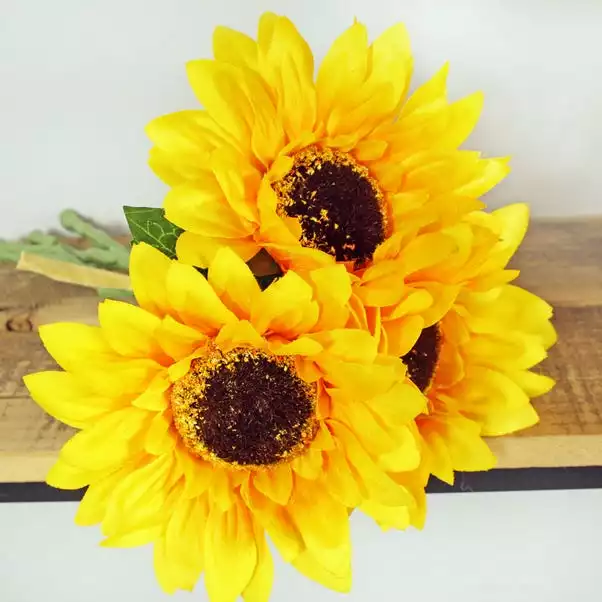 Dunelm Bundle Of 3 Sunflower Yellow 6 Pack 30cm 2 Dunelm Bundle Of 3 Sunflower Yellow 6 Pack 30cm - Image 2