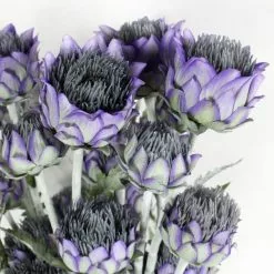 clocks Sales Store -clocks Sales Store 1000184189 alt01