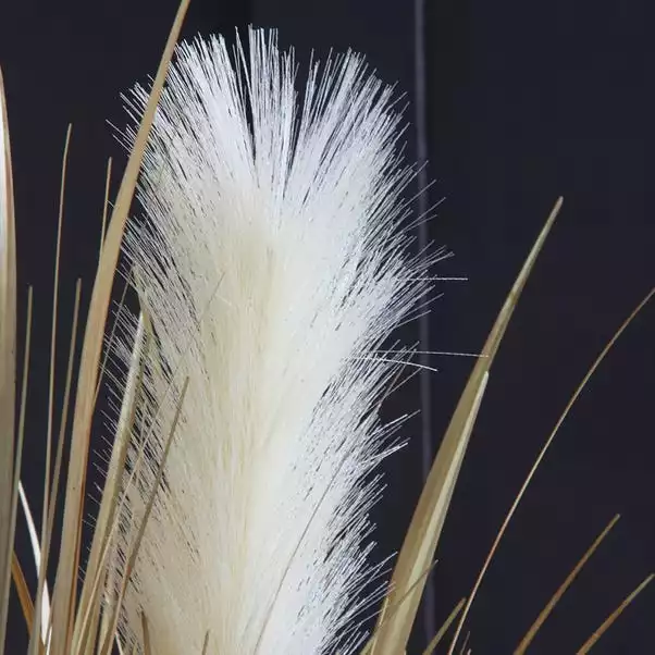 Dunelm Pampas In Pot Cream 30cm 2 Dunelm Pampas In Pot Cream 30cm - Image 2