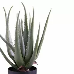 Dunelm Artificial Aloe Vera Plant -clocks Sales Store 1000185122 alt02