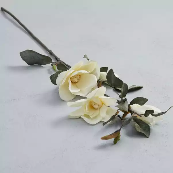 Dunelm Magnolia Cream Spray 94cm 1 Dunelm Magnolia Cream Spray 94cm