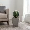 Dunelm Cactus In Wood Planter