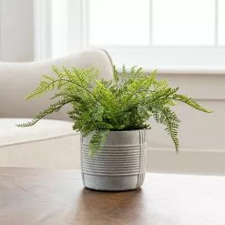 Dunelm Artificial Fern Green In Concrete Pot 23cm