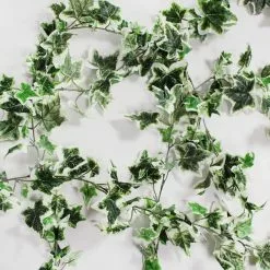 Dunelm Holland Ivy Variegated Garland 182cm