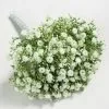 Dunelm 30cm Million Star Gypsophilia Bundle White