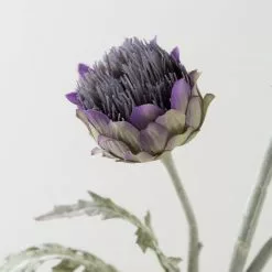 Dunelm Artificial Cardoon Thistle Purple Single Spray 78cm -clocks Sales Store 30673028 alt03