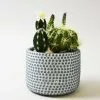 Dunelm Artificial Cactus Green In Textured Pot 19cm