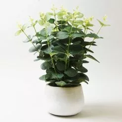 Dunelm Artificial Eucalyptus Green In White Pot 33cm