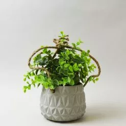 Dunelm Artificial Herb Green In Cement Hanging Pot 24cm