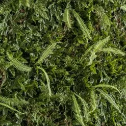 Dunelm Green Ivy Fern Panel 7 Dunelm Green Ivy Fern Panel -clocks Sales Store 30682818 alt02