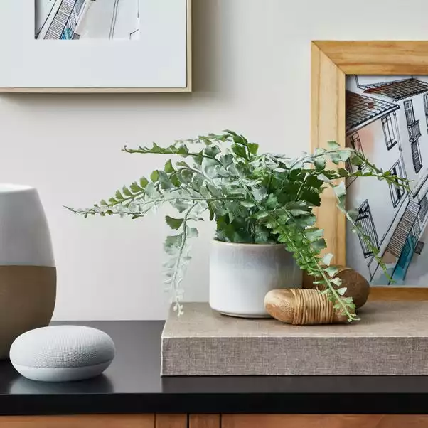 Dunelm Artificial Frosted Fern In Reactive Ceramic Pot 30cm 1 Dunelm Artificial Frosted Fern In Reactive Ceramic Pot 30cm