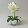 Dunelm White Orchid In Silver Glass Pot 26cm
