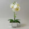 Dunelm White Orchid In Silver Glass Pot 34cm