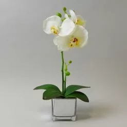 Dunelm White Orchid In Silver Glass Pot 34cm