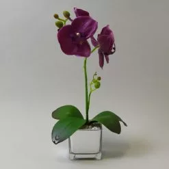 Dunelm Plum Orchid In Silver Glass Pot 34cm