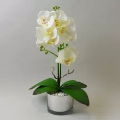 Dunelm White Orchid In Silver Glass Pot 40cm