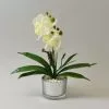 Dunelm Cream Orchid In Silver Glass Pot 26cm