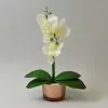 Dunelm Cream Orchid In Gold Glass Pot 28cm