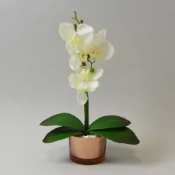 Dunelm Cream Orchid In Gold Glass Pot 28cm