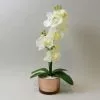 Dunelm Cream Orchid In Gold Glass Pot 40cm