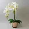 Dunelm Cream Orchid In Gold Glass Pot 52cm